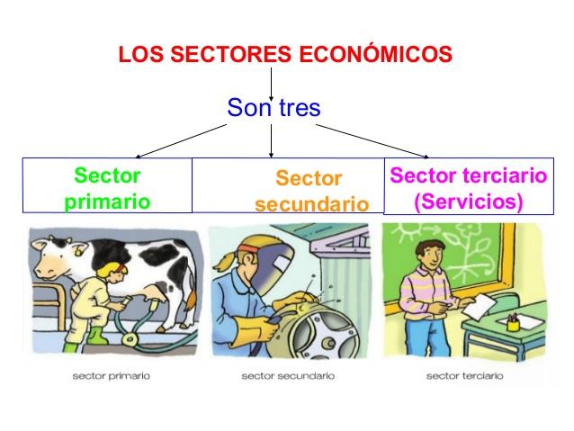 Resultado de imagen de ejercicios de economia de colombia para primaria