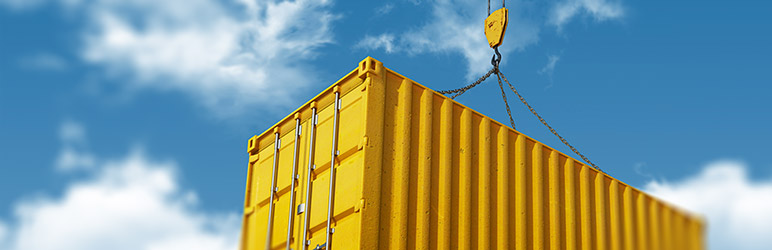 Plugin Importador e Exportador de Widgets