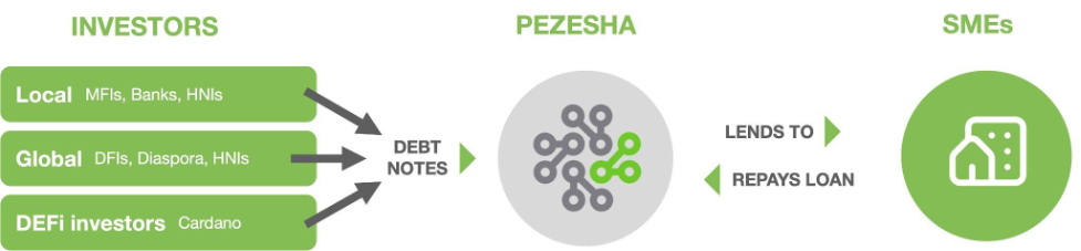 Pezesha, fintech de Kenia, en la que ha invertido Charles Hoskinson y que tiene como objetivo ofrecer financiación a pequeñas empresas