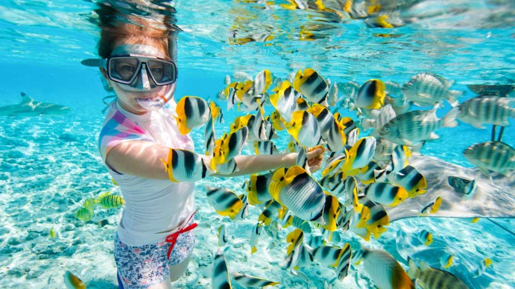 Kinh nghiệm chọn dụng cụ lặn chuẩn nhất bạn không nên bỏ qua