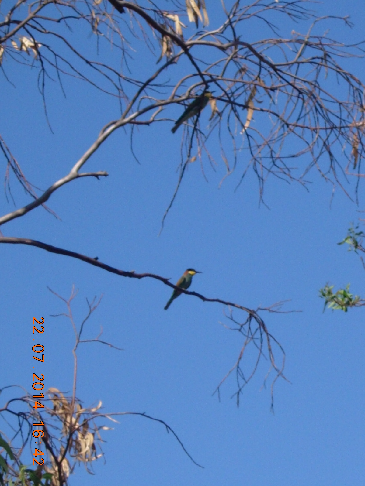 DSCN0324.JPG