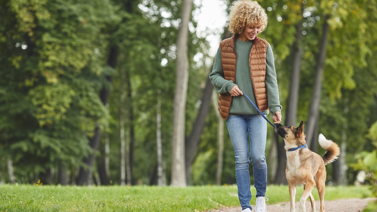 Coastal Walks with your fur friend in Dunsborough 