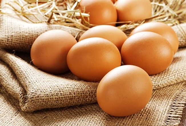 ไข่เพื่อการเจริญเติบโต