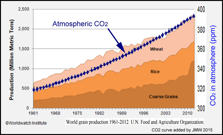 co2_level_global_grain.jpg