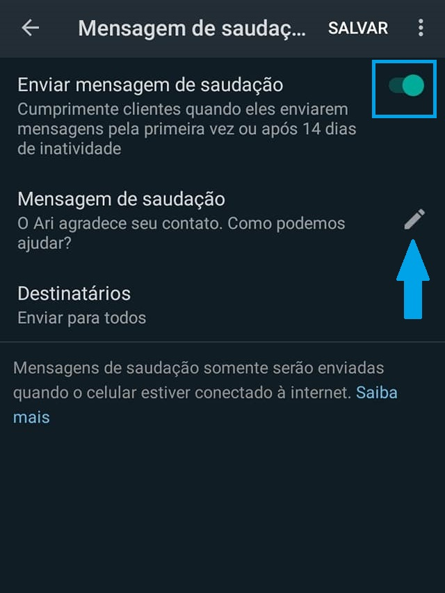 WhatsApp Business Iphone: Veja Como Automatizar Mensagens ( Atualizado 2021) 7