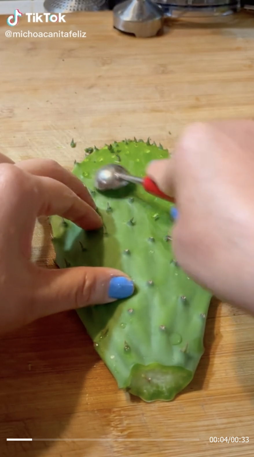Pela Nopal / Cactus Peeler