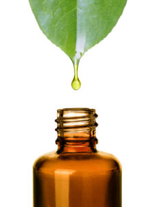 essential oil dripping off leaf