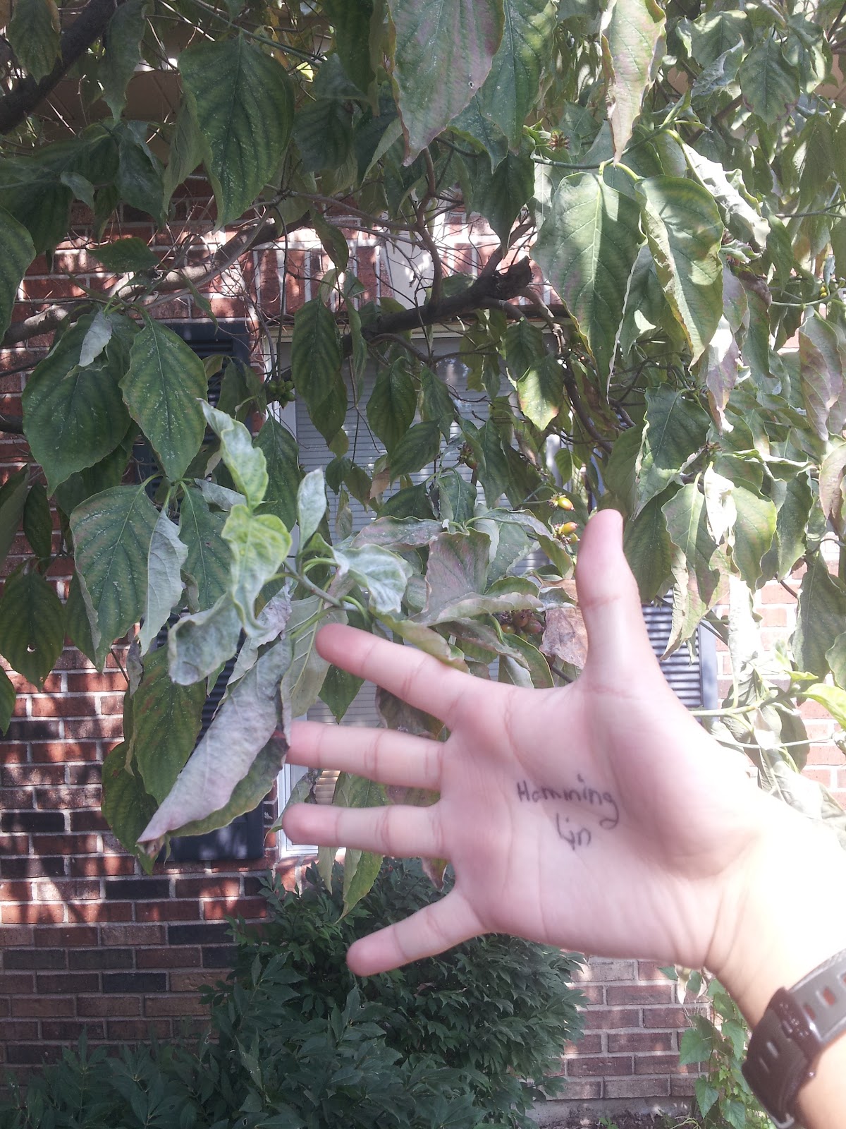 20150905_150458.jpg