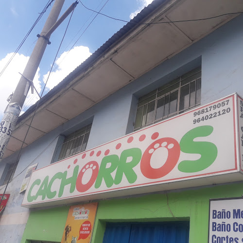 Opiniones de Cachorros en Huancayo - Veterinario
