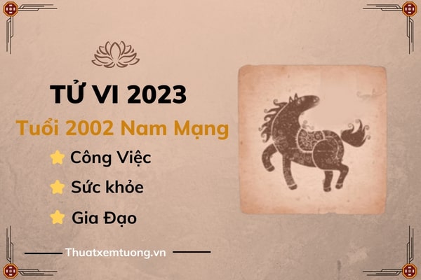 tu-vi-tuoi-nham-ngo-nam-2023-nam-mang-2002