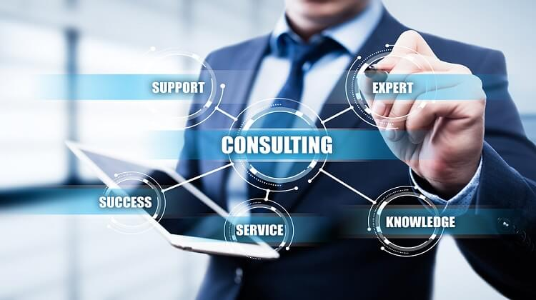 Business Consulting Services
