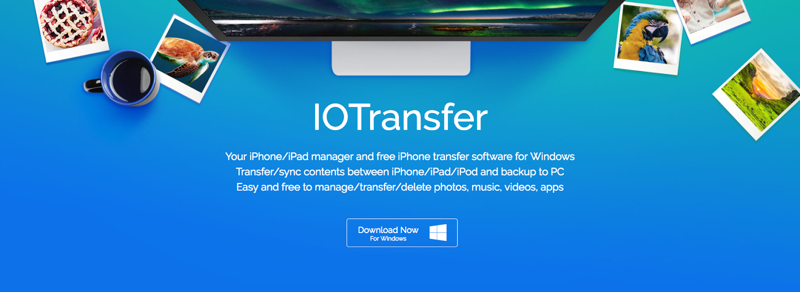 IOTransfer Pro Full Crack