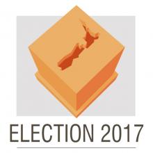 Image result for election party nz