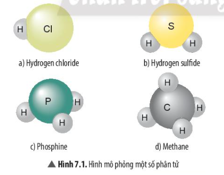 Câu hỏi trang 46 SGK TN&XH 7 CTST tập 1