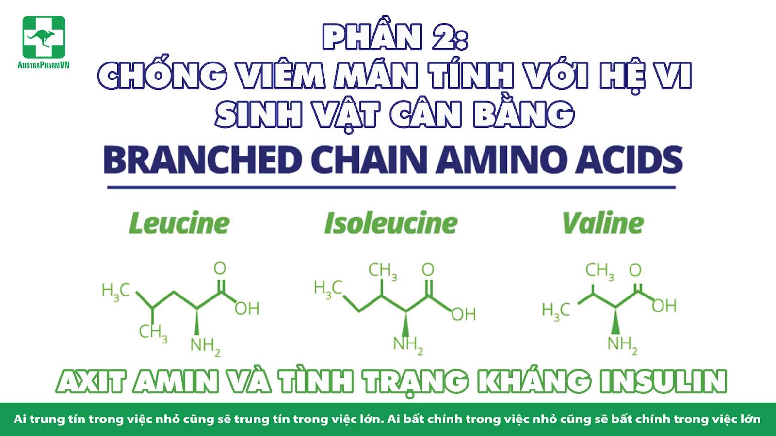 CÁCH CHỐNG VIÊM MÃN TÍNH VỚI LỐI SỐNG , CHẾ ĐỘ ĂN & HỆ VI SINH RUỘT