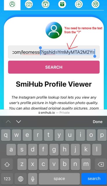 How to use SmiHub to view and download Instagram profile pictures?-4