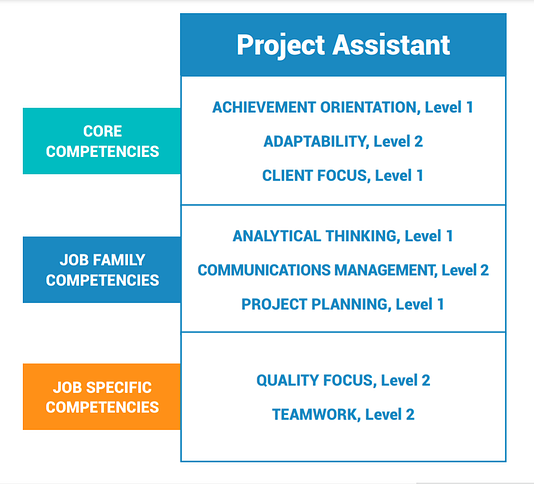 competency profile example