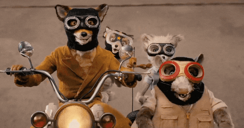 stop motion animation of animals riding a sidecarage bikes having fun