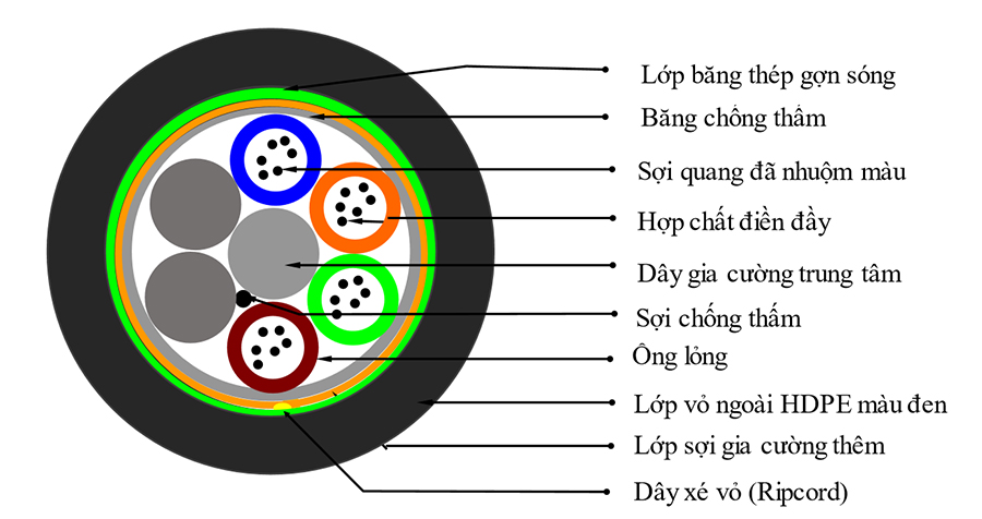 cau-tao-cap-quang-luon-cong