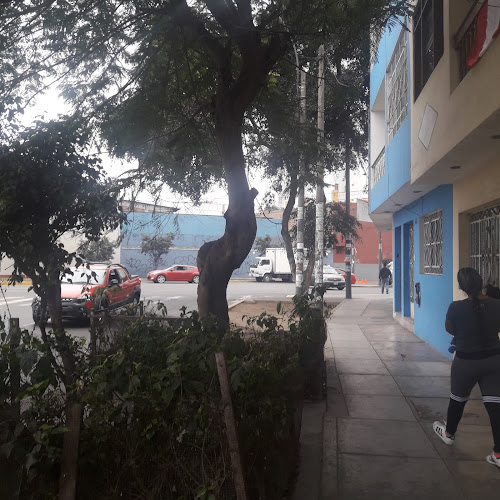 Academia Cantolao Lima Centro / Canchas Sintéticas - Campo de fútbol