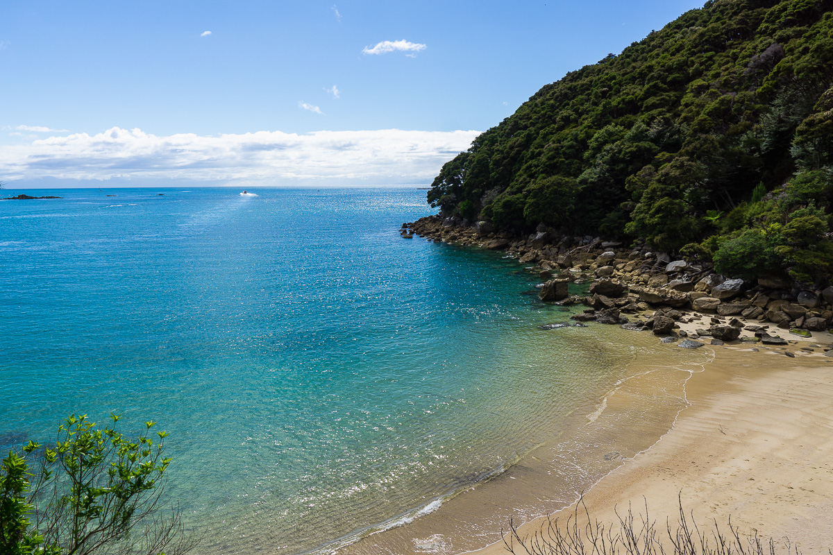 这是新西兰南岛阿贝尔塔斯曼海岸徒步路线的海滩