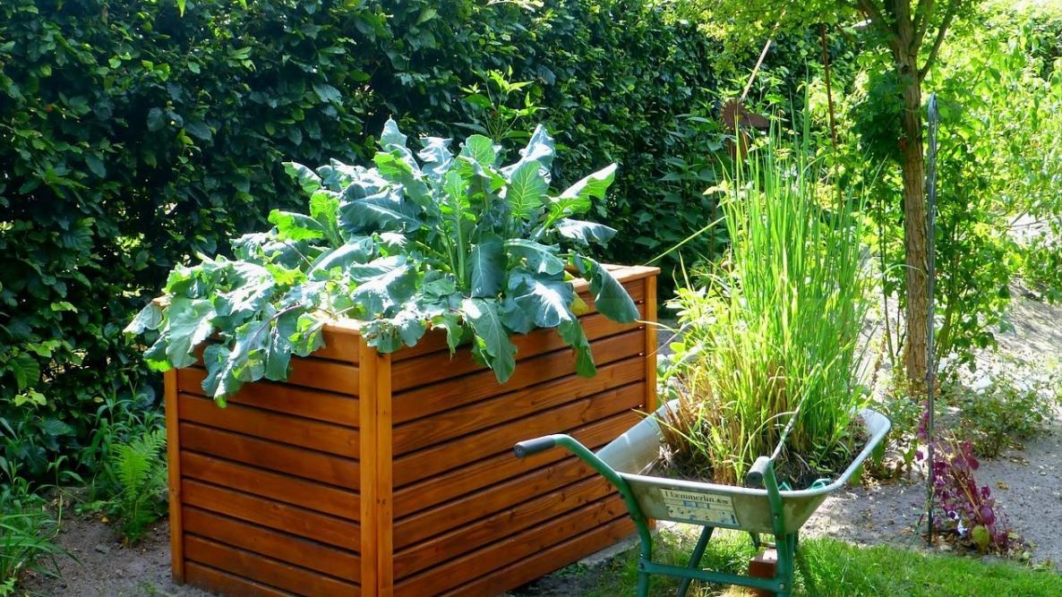 Small-Space Gardening: 5 Tips for Growing More in Less Space | The Old  Farmer's Almanac