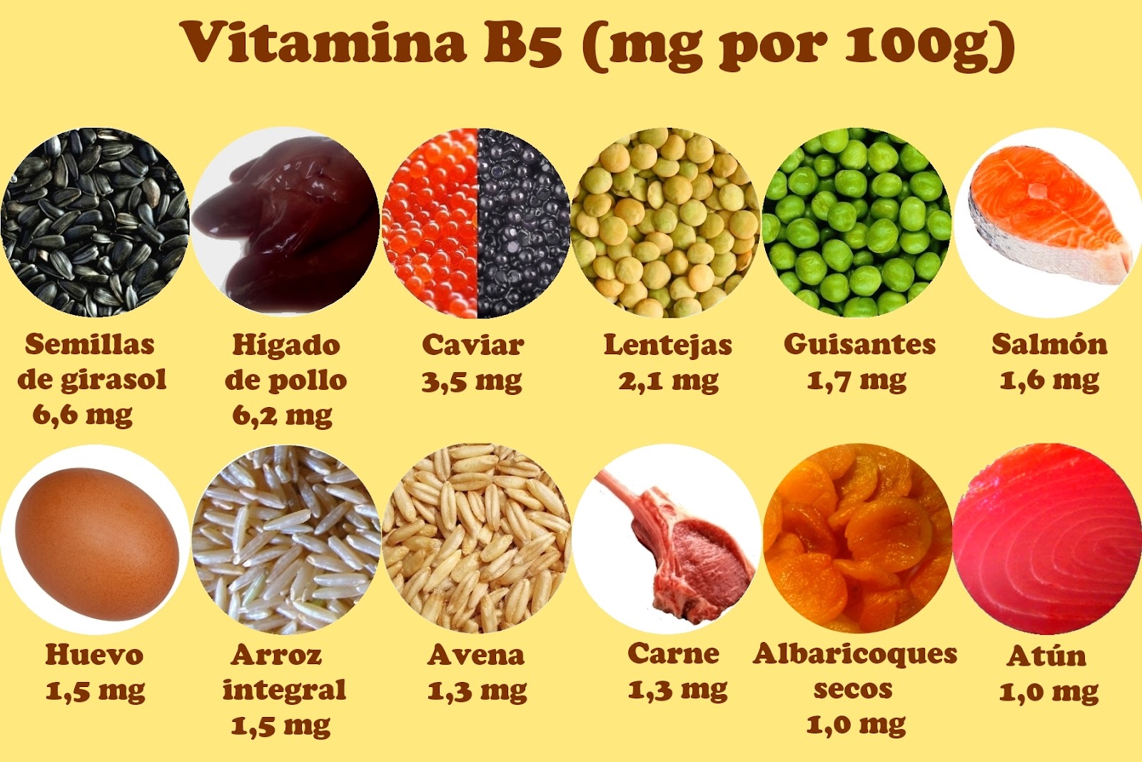 Alimentos que contienen vitamina b12 de origen vegetal
