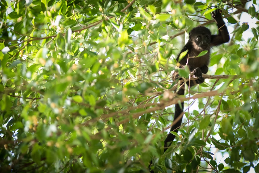 Free Activities in Tamarindo