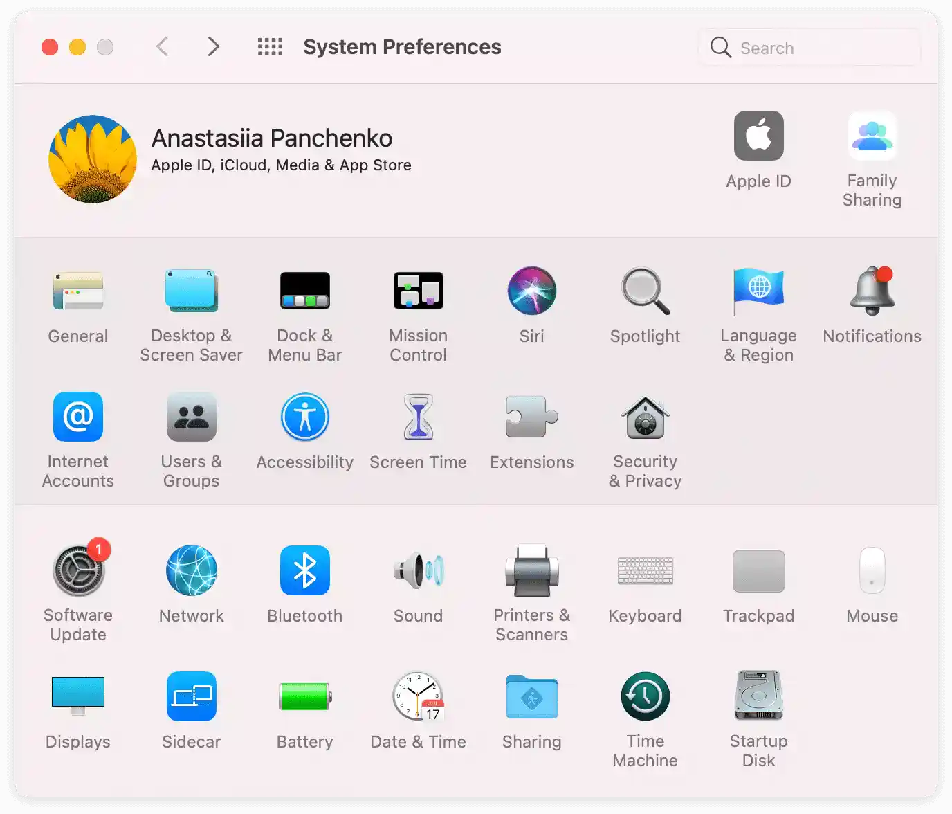 Check System Preferences On Macbook