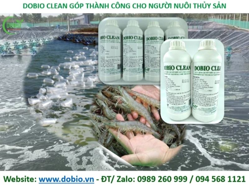 Chế phẩm sinh học Dobio Clean