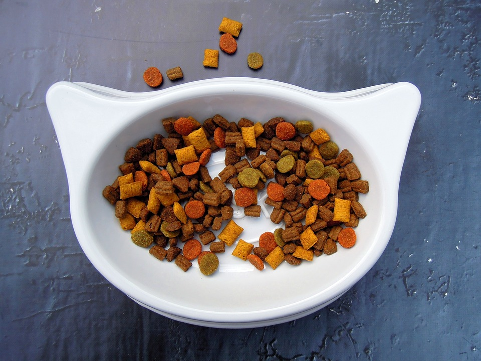 dry cat food