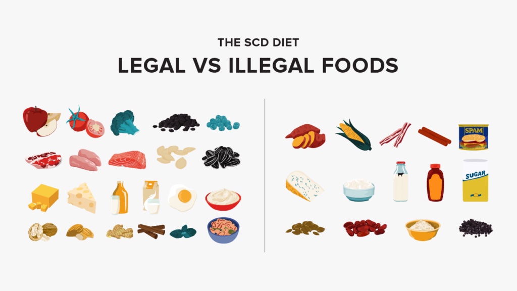 SCD Diet - Legal & Illegal Foods 