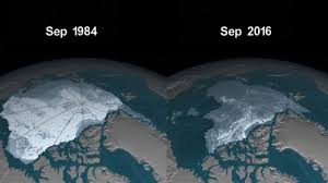 Image result for melting arctic map