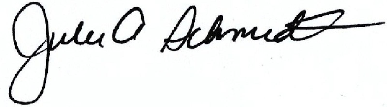 Julie A. Schmidt signature