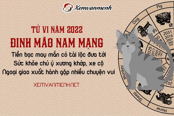 tu-vi-tuoi-dinh-mao-nam-2022-nam-mang-1987