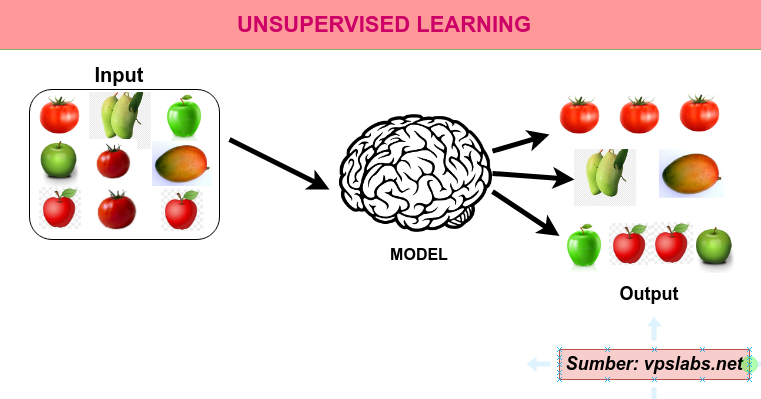 Hoarder Smashing via Unsupervised Learning