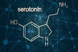 Mất cân bằng serotonin ảnh hưởng trực tiếp đến tâm trạng, cảm xúc