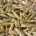 Cumin