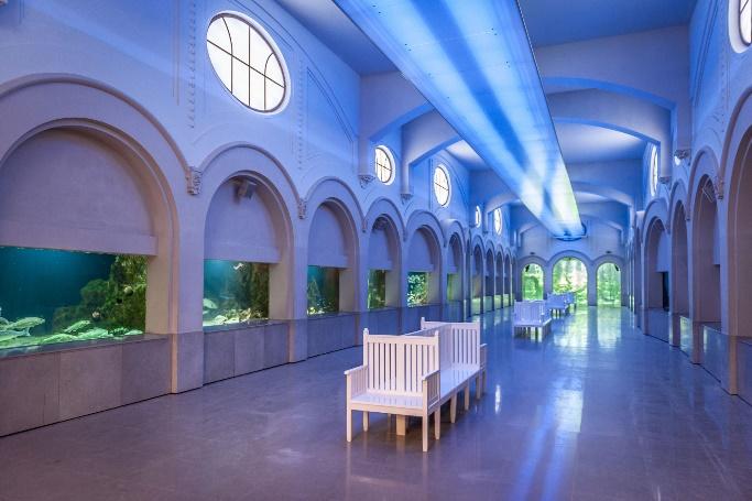 Sonogamma - Akoestisch sfeerlicht in het Aquariumgebouw van de Zoo