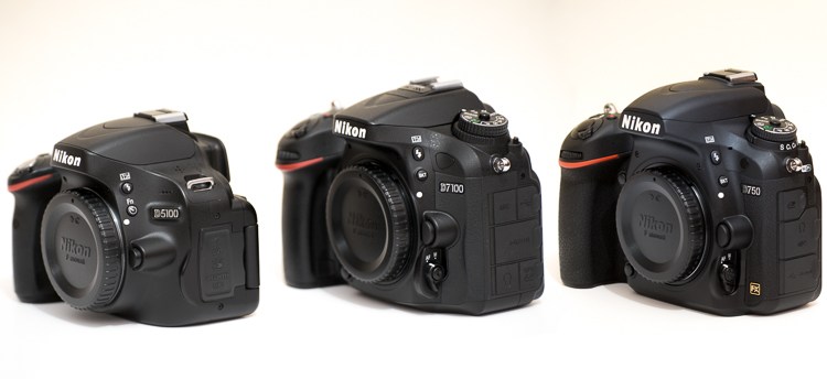 Comparando as 3 câmeras mais populares da Nikon. D750 VS D7100 VS D5100