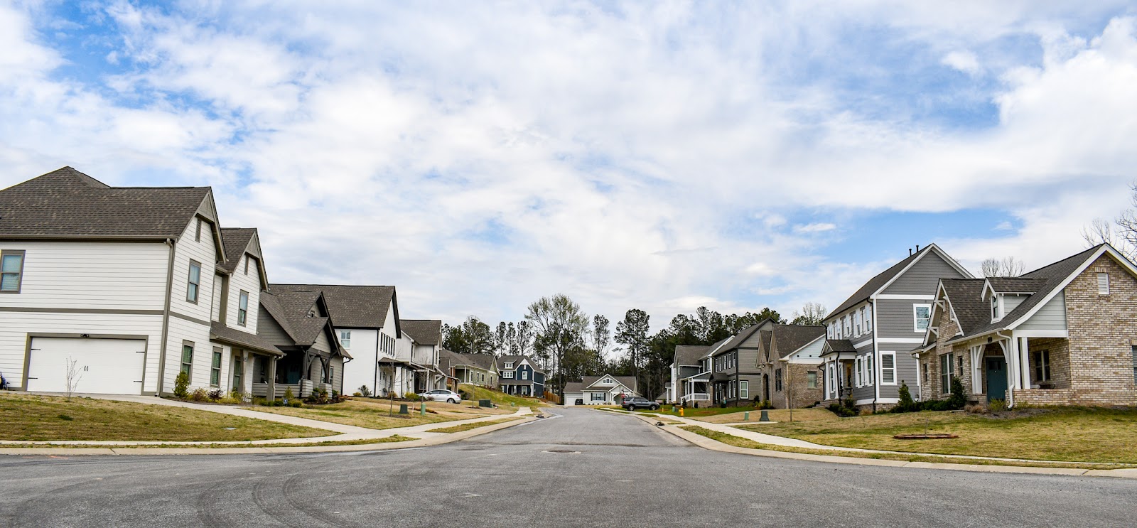 Simms Landing Neighborhood, Pelham, Alabama - Dianna Howell