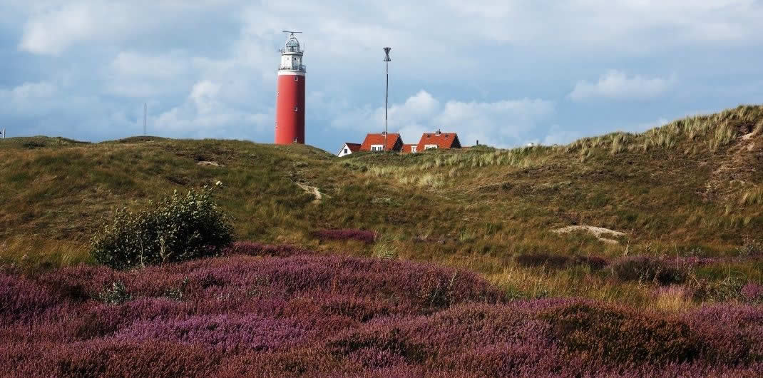 Texel, The Netherlands | Top things to do Texel, the Netherlands