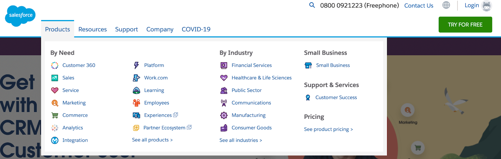 B2B Buyer Personas: Salesforce Example