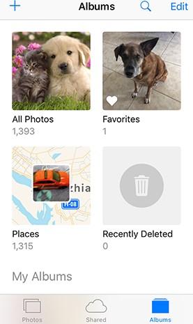 click on the recently deleted folder 