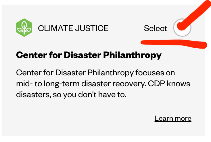 Screenshot of Center for Disaster Philanthropy's ballot