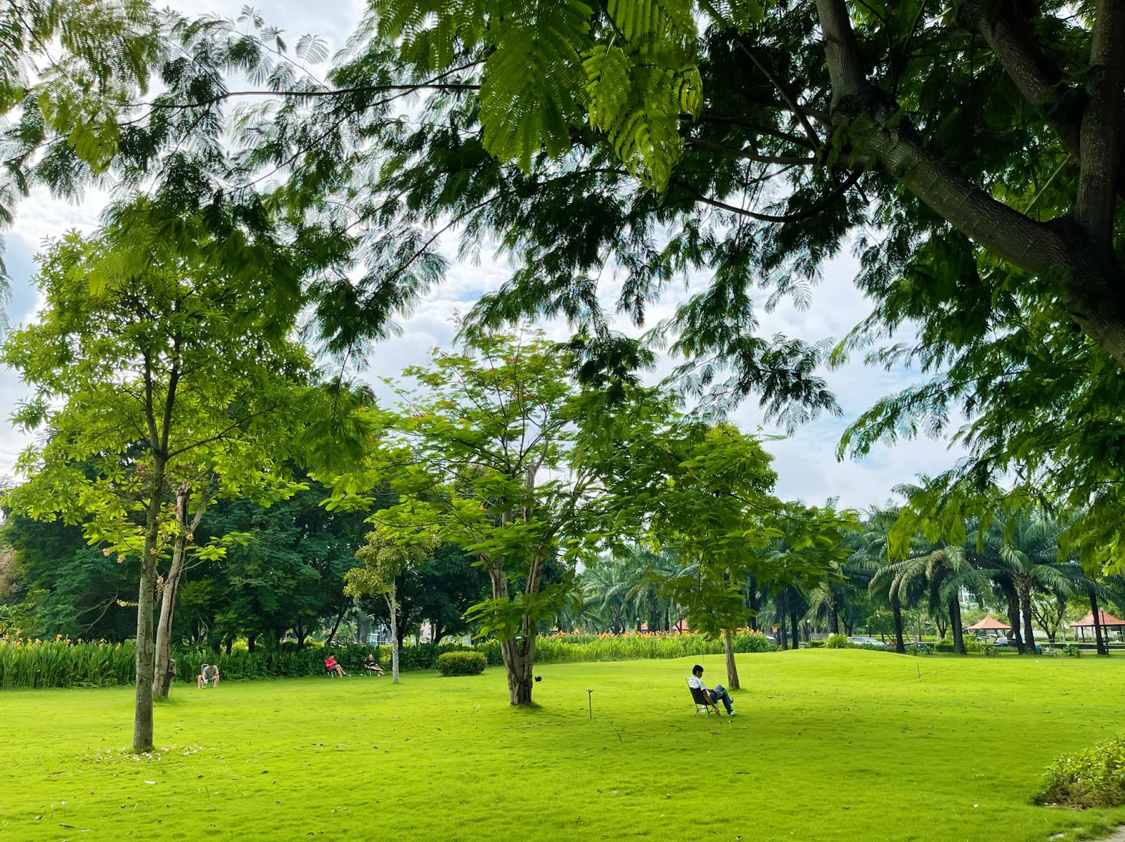 “Vườn địa đàng” ở Nam Sài Gòn