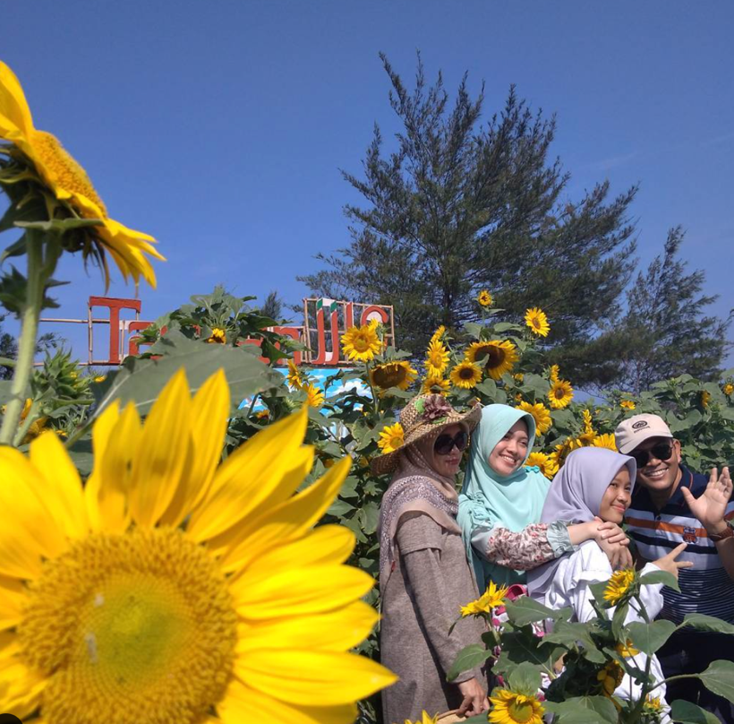 A group of people on a yellow flower Description automatically generated