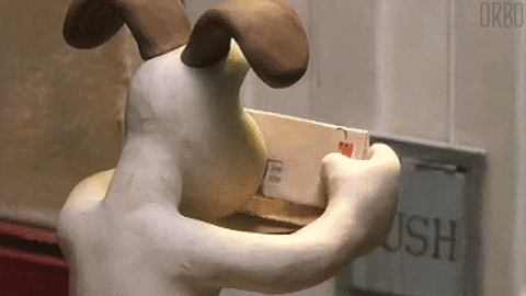 dog with mail