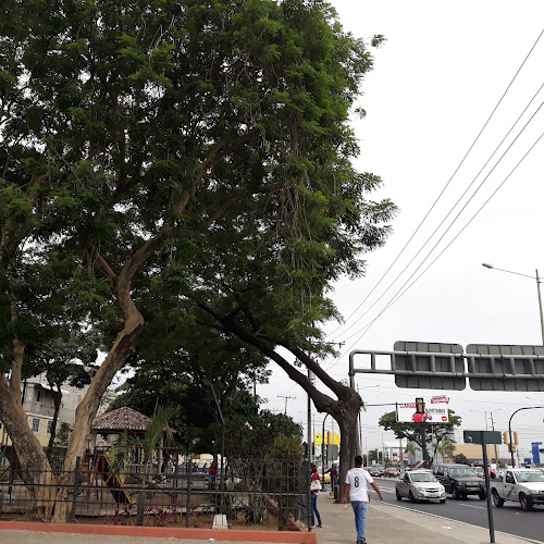 Q473+96C, Guayaquil 090203