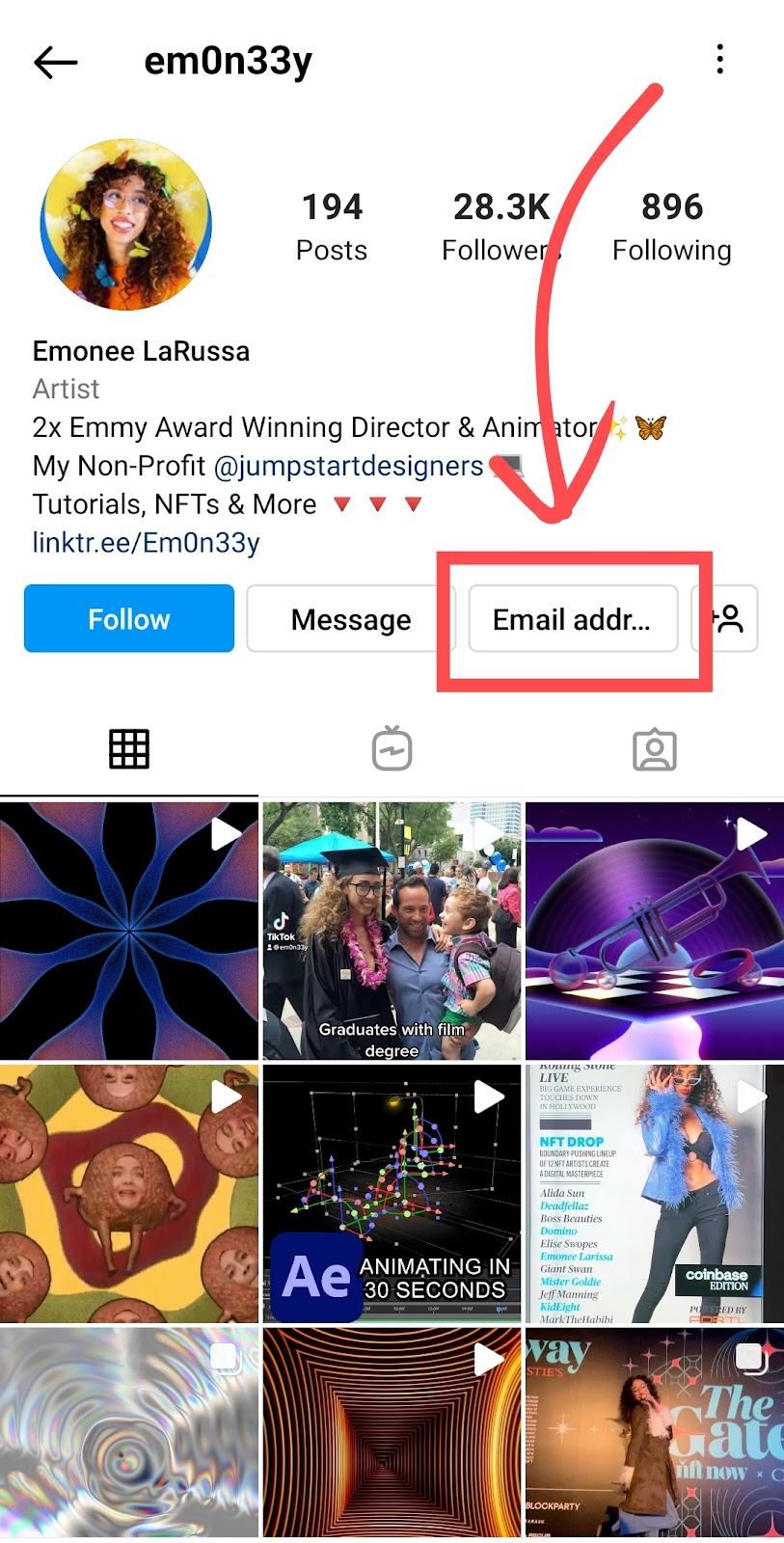 An image highlighting the email button on an Instagram profile